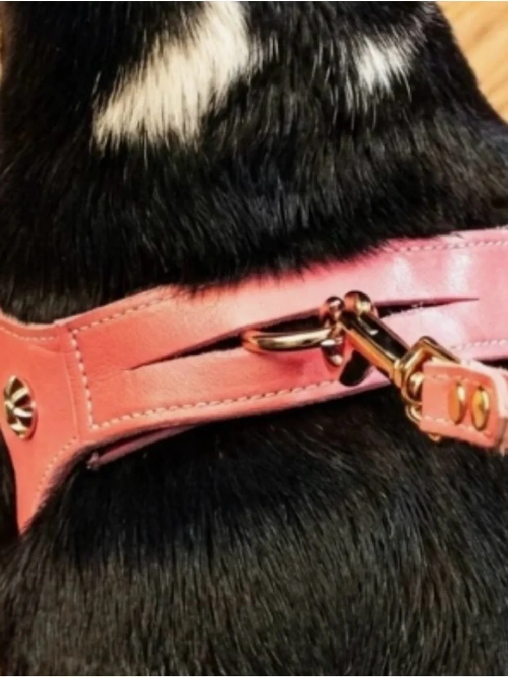 Bright Pink Leather Step-in Dog Harness with Silver Paw Accents 16 inches